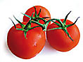 Tomaten_1